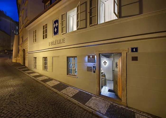 At The White Lily Praha