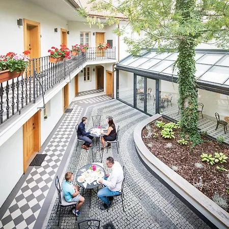 At The White Lily 布拉格